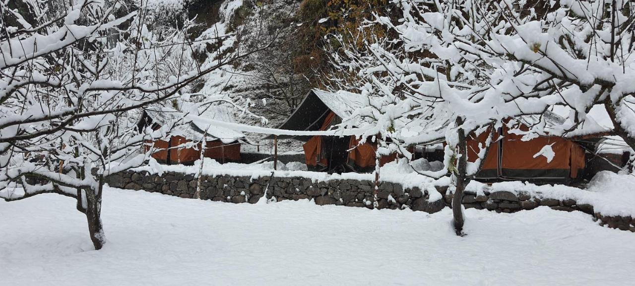 Himtrek Riverside Camps & Hostel Manali 외부 사진