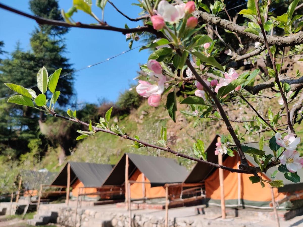 Himtrek Riverside Camps & Hostel Manali 외부 사진