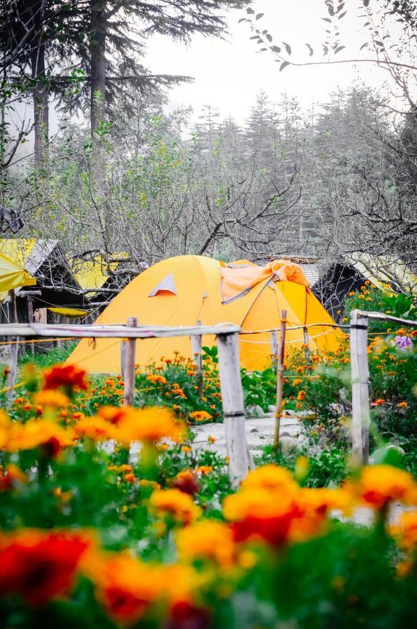 Himtrek Riverside Camps & Hostel Manali 외부 사진
