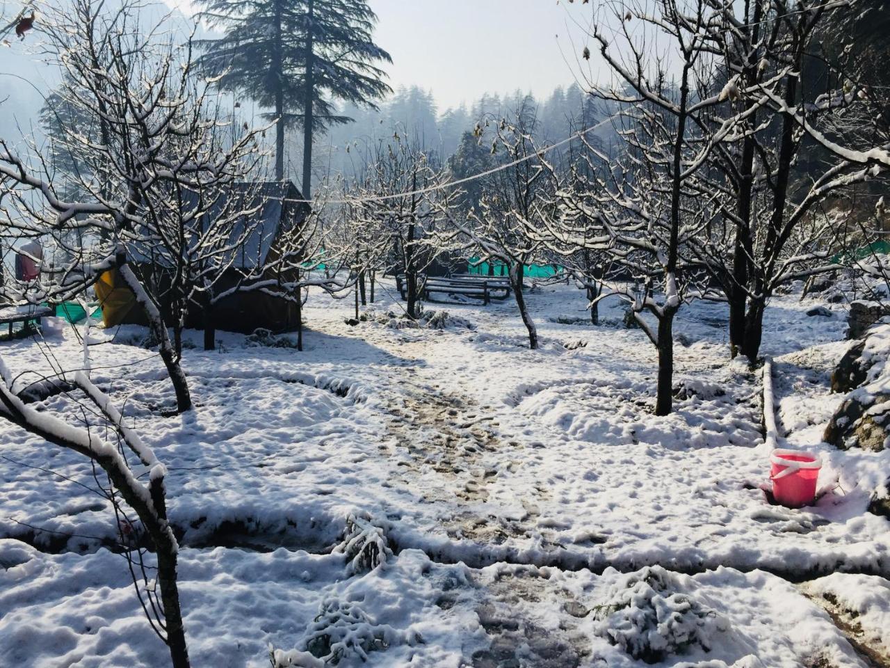 Himtrek Riverside Camps & Hostel Manali 외부 사진