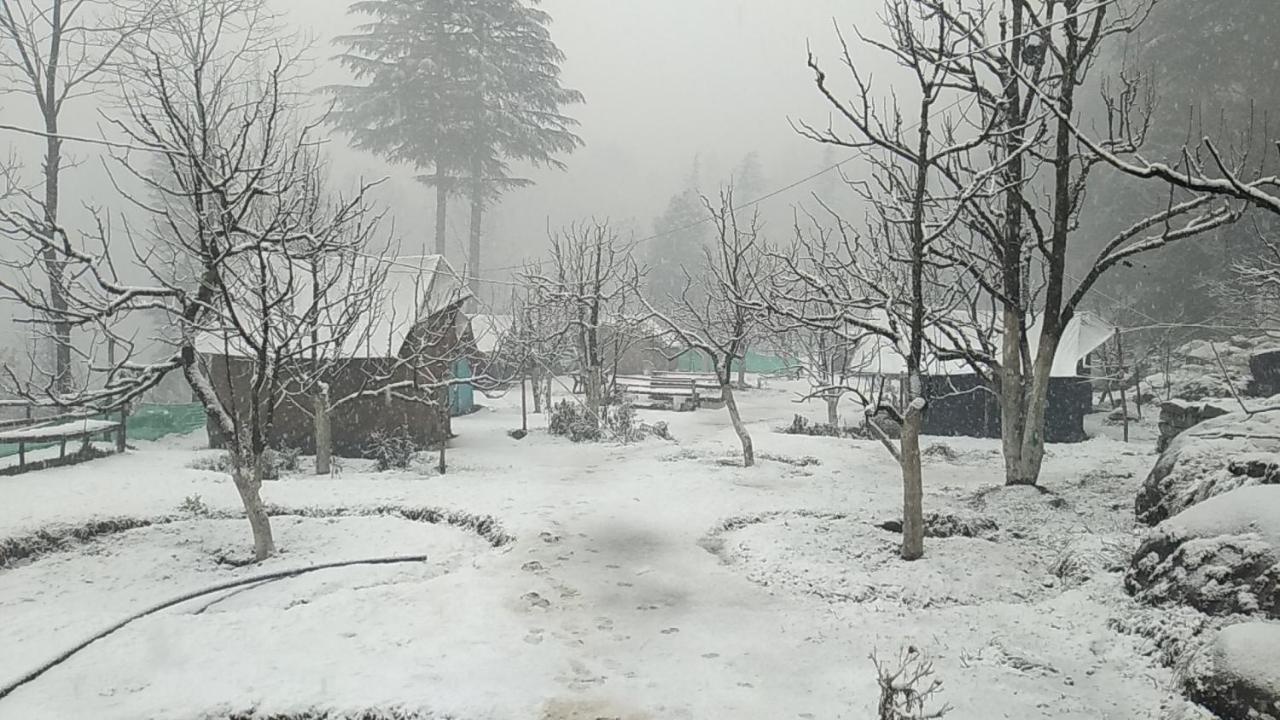 Himtrek Riverside Camps & Hostel Manali 외부 사진